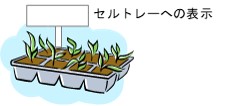 セルトレーへの表示