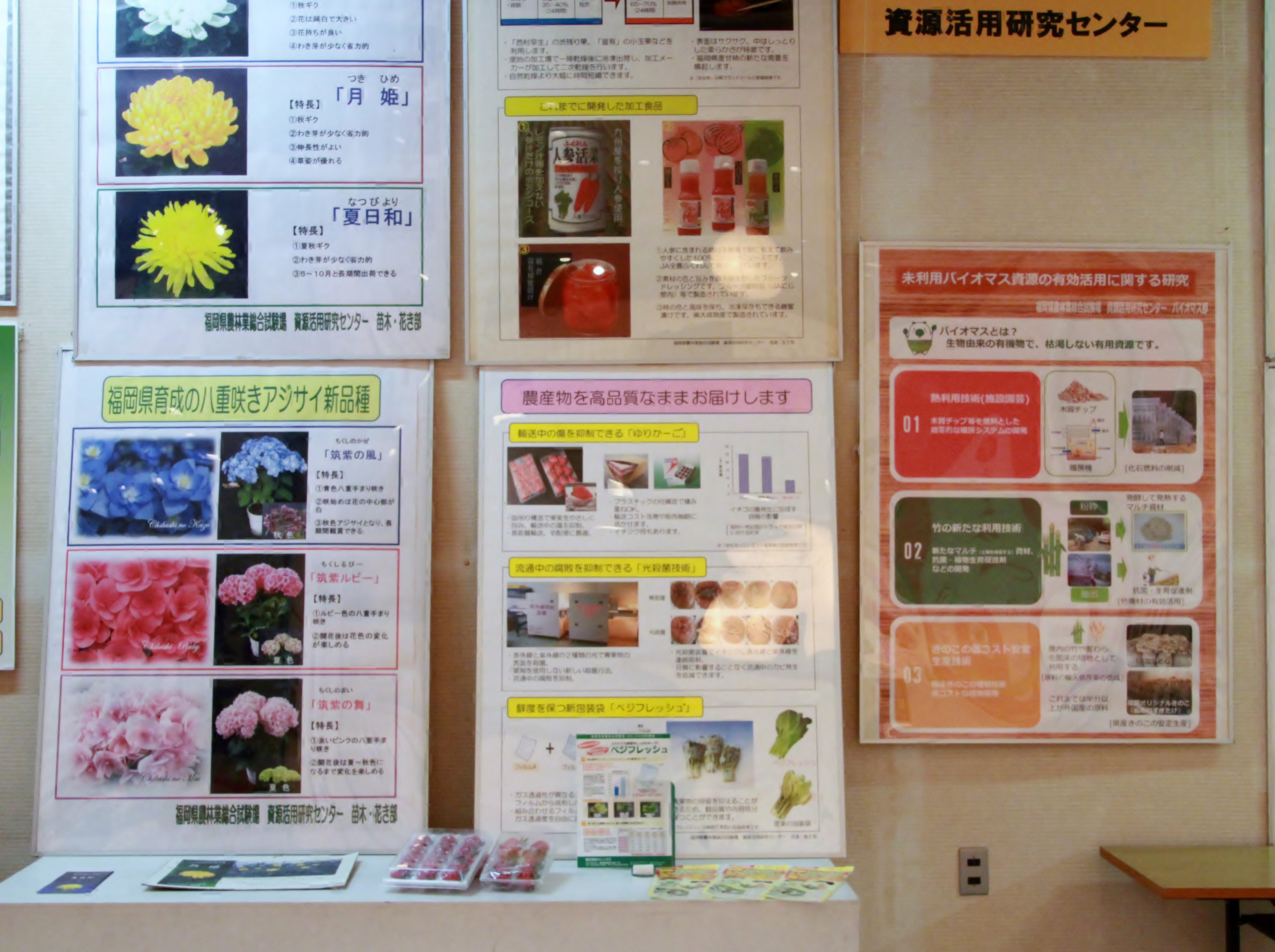資源活用研究センター